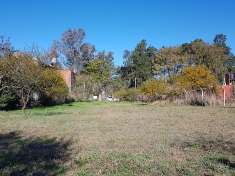Terrenos Disponibles
